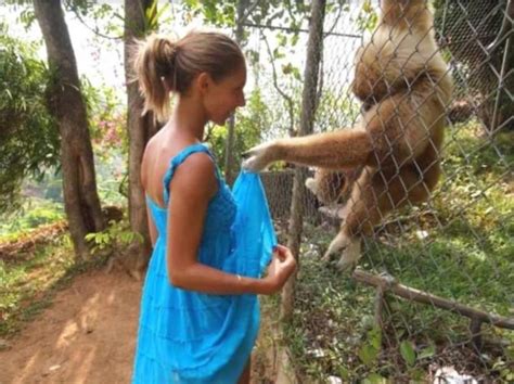 sex femme et animal